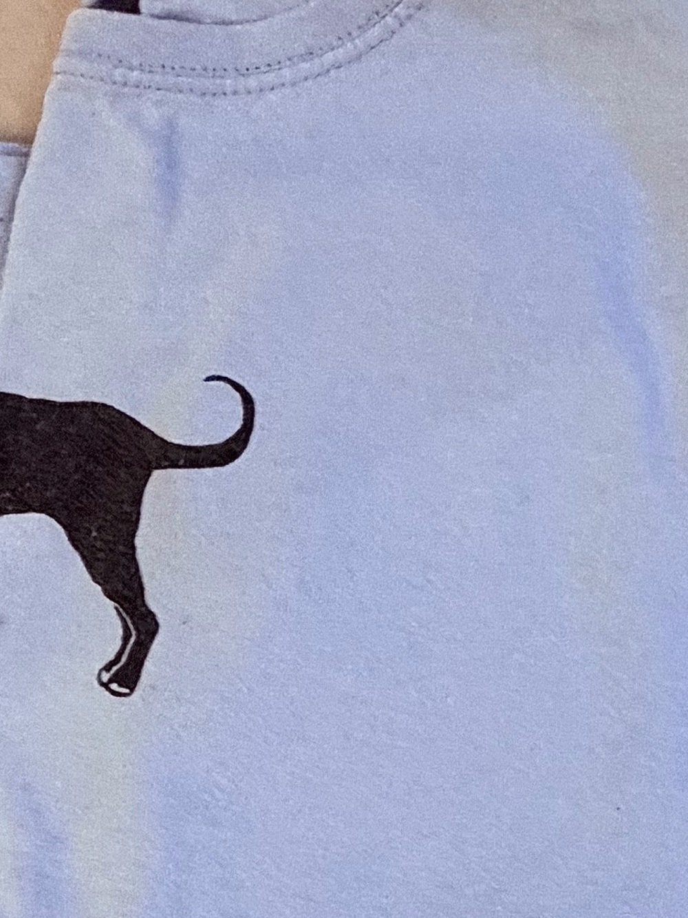 2 Black Dog  Small Cotton T Shirts: 1 long sleeve,1 short sleeve